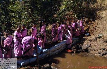 WhatsApp Image 2025-12-20 at 12.32.50 PM