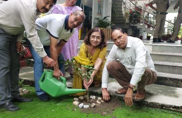 वृक्षारोपण हरेला पर्व