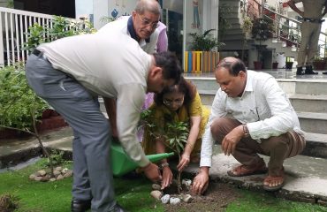 वृक्षारोपण हरेला पर्व