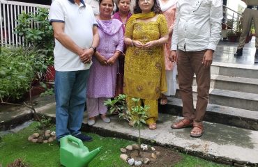 वृक्षारोपण हरेला पर्व