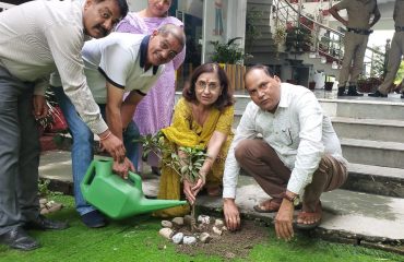 वृक्षारोपण हरेला पर्व