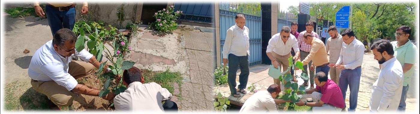 Split view of RCI tree-planting: both sides show Member Secretary and RCI Officials planting trees for World Environment Day