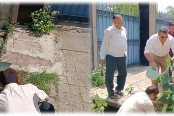 Split view of RCI tree-planting: both sides show Member Secretary and RCI Officials planting trees for World Environment Day