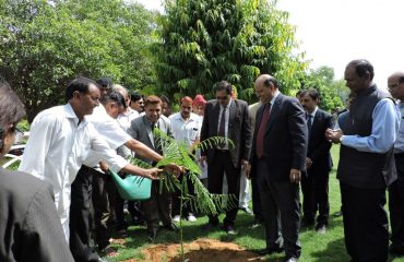 Plantation on the occasion of National Lok Adalat on 7th July 2019