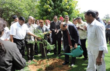 Plantation on the occasion of National Lok Adalat on 7th July 2019