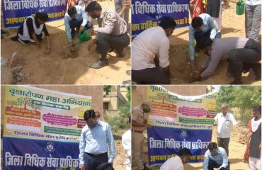 सघन वृक्षारोपण अभियान (15th August 2021)-All DLSAs