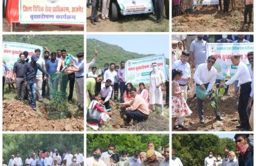 सघन वृक्षारोपण अभियान (15th August 2021)-All DLSAs