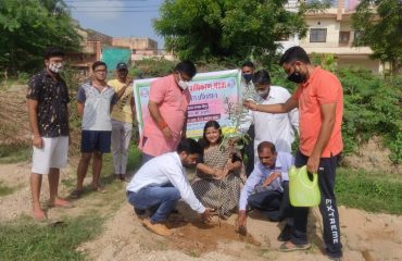 सघन वृक्षारोपण अभियान (15th August 2021)-All DLSAs
