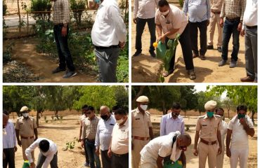 DLSA Activities on the occasion of World Environment Day 5th June 2021.