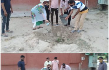 DLSA Activities On occasion of RSLSA#Run4वन .