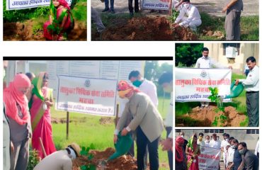 सघन वृक्षारोपण अभियान (15th August 2021)-All DLSAs