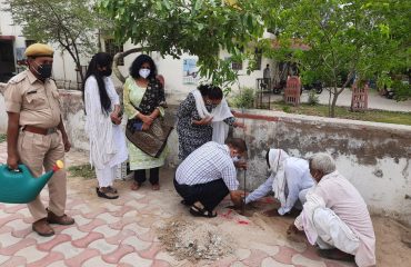 DLSA Activities on the occasion of World Environment Day 5th June 2021.