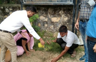 DLSA Activities On occasion of RSLSA#Run4वन .