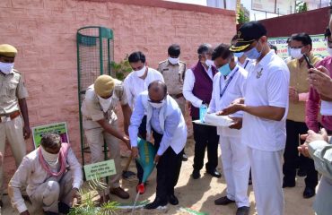 Plantation Week 15 to 23 August 2020.
