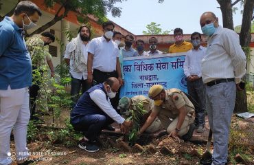DLSA Activities On occasion of RSLSA#Run4वन .