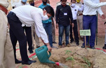Plantation Week 15 to 23 August 2020.