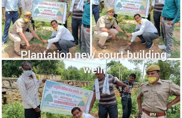सघन वृक्षारोपण अभियान (15th August 2021)-All DLSAs