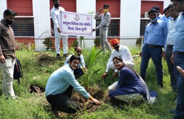 सघन वृक्षारोपण अभियान (15th August 2021)-All DLSAs