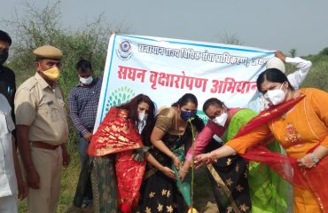 सघन वृक्षारोपण अभियान (15th August 2021)-All DLSAs