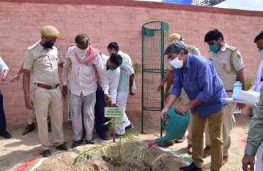Plantation Week 15 to 23 August 2020.