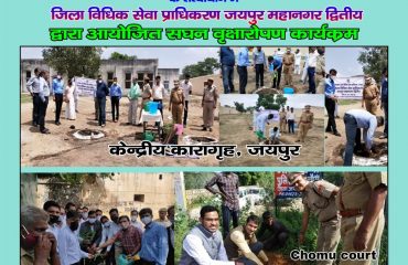 सघन वृक्षारोपण अभियान (15th August 2021)-All DLSAs