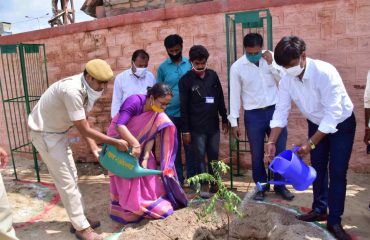 Plantation Week 15 to 23 August 2020.