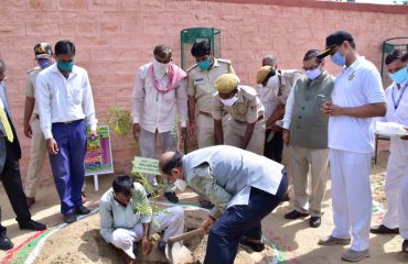 Plantation Week 15 to 23 August 2020.