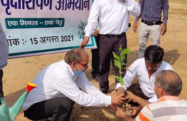 सघन वृक्षारोपण अभियान (15th August 2021)-All DLSAs