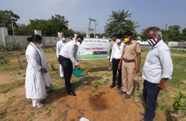 DLSA Activities on the occasion of World Environment Day 5th June 2021.