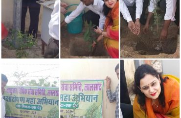 सघन वृक्षारोपण अभियान (15th August 2021)-All DLSAs