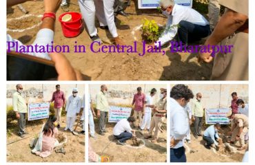 सघन वृक्षारोपण अभियान (15th August 2021)-All DLSAs