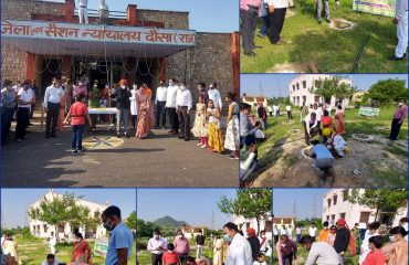सघन वृक्षारोपण अभियान (15th August 2021)-All DLSAs