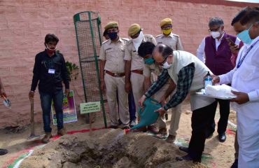 Plantation Week 15 to 23 August 2020.