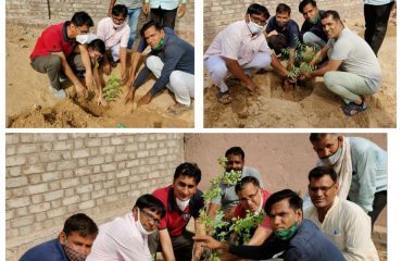 DLSA Activities On occasion of RSLSA#Run4वन .