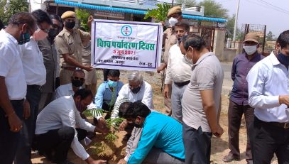 DLSA Activities on the occasion of World Environment Day 5th June 2021.