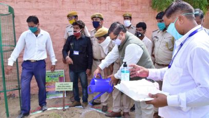Plantation Week 15 to 23 August 2020.