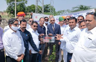 सघन वृक्षारोपण अभियान (15th August 2021)-All DLSAs