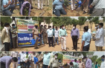 DLSA Activities On occasion of RSLSA#Run4वन .