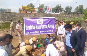 सघन वृक्षारोपण अभियान (15th August 2021)-All DLSAs