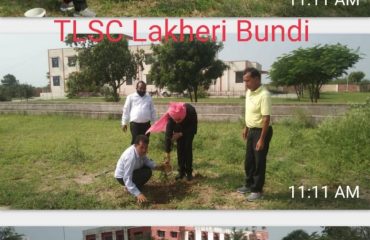 सघन वृक्षारोपण अभियान (15th August 2021)-All DLSAs