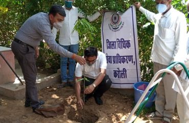DLSA Activities on the occasion of World Environment Day 5th June 2021.