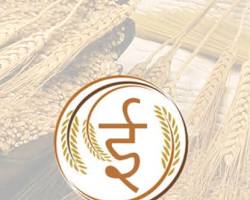 WhatsApp Image 2026-01-15 at 4.02.46 PM