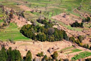 Sacred Natural Sites (SNS)1