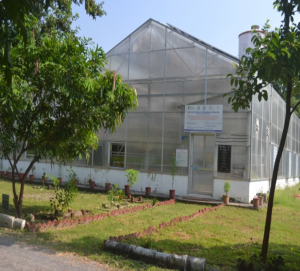 Water Energy Food Nexus