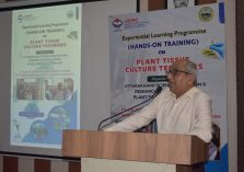 Plant Tissue Culture Technology