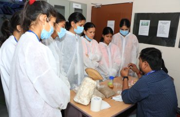 Plant Tissue Culture Technology