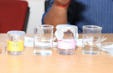 Plant Tissue Culture Technology