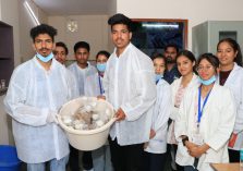 Plant Tissue Culture Technology