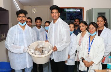 Plant Tissue Culture Technology