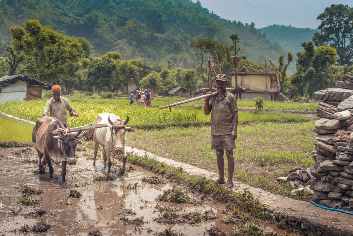 Kisan Pension Scheme